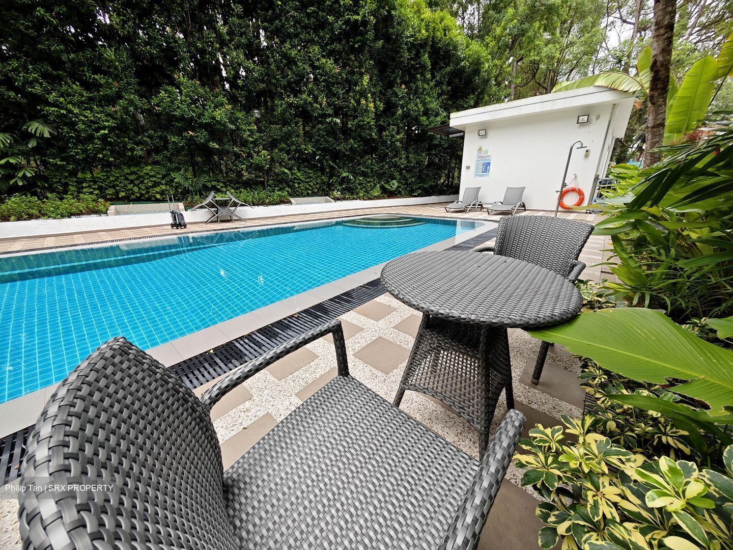 Holland Hill Park (D10), Condominium #521208321